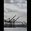 IMG_6408
3/21/2007 1:06:53 PM